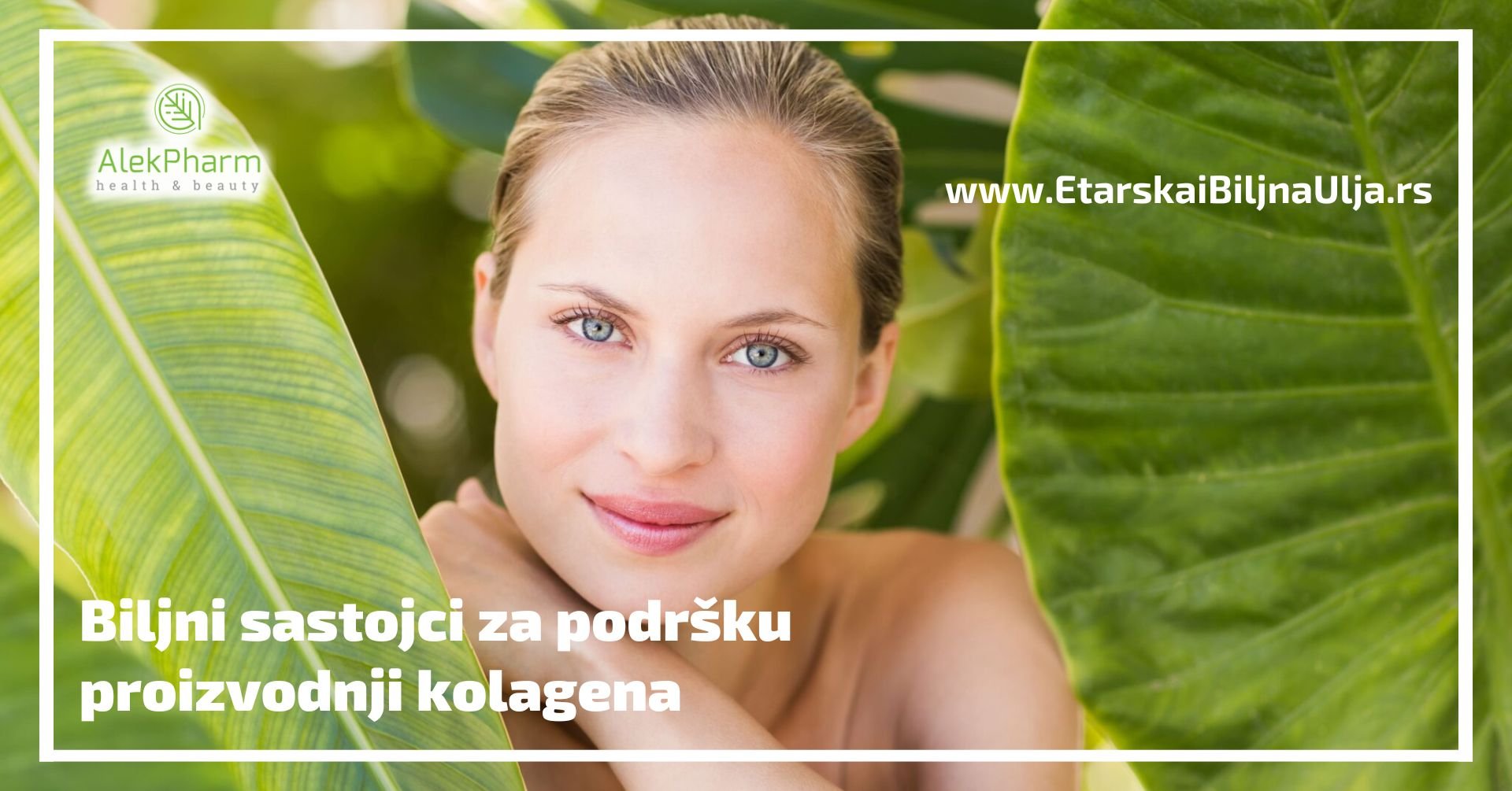 Biljni sastojci za podršku proizvodnji kolagena
